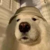 bbunbohue05