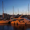danibarascu