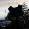 ronjagustafsson88