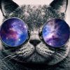 _isodox