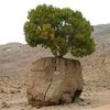 asmail.otifi