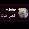 user2519921045762