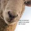 doaaquemdoer3