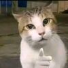 gary_tlsxv4
