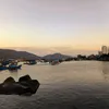 alinx_support_lpc