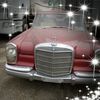 gabiboros2266