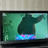 sasurai2929
