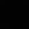 ١٣