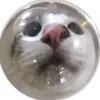 marczipandonout