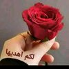 onliy90