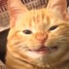 _something_orange