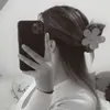 lavi_sml