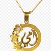 nasmt_amal_73