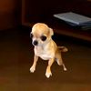 perriton0ob