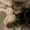 .hhue_9