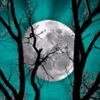 wolfblood_x