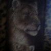 jay27676