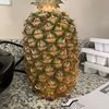 funnyguypete98