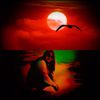 momtaz7799