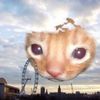 lilcwosant