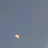 withuropinion