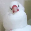 7ykz6