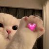 qurlwtluv