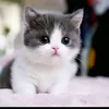 suarahati_77