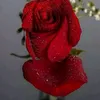 userpm6kts6b50