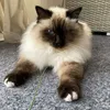 milla.eriksson
