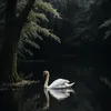 amiraben01_