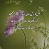 alihassanhassan92