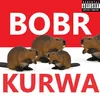 piotrekbobr