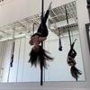 A | Aerialist