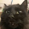 oonatajn