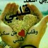 user24205067488020