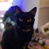 glittergirl1022