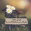 joo_2q4