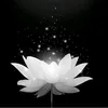 baolan7