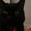2eyesalex
