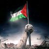 alihassan34040065