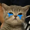 acelluvsp