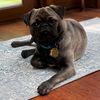 boston__winston
