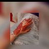 just_ayesha01