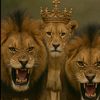 asly_oubah