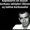 tayyarsumaktas