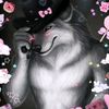 usertai060308