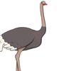 pantless_thunder_goose