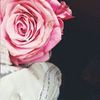 yaqeentaher