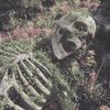 mermorgue
